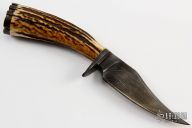 Damascus Clip Point Hunter