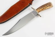 Stag Bowie