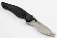 1596SW Ken Onion Bump