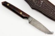 Damascus & Ironwood Hunter  