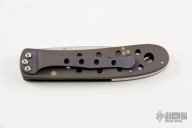 Titanium Leopard  Cub