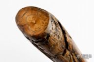 Siberian Mammoth Tusk Tip Section