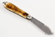 Bark Mammoth SlipJoint  