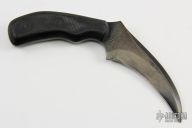 Double Edged Hawkbill