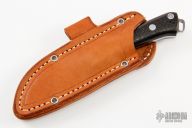 Mini Fox River - Black Carbon Fiber