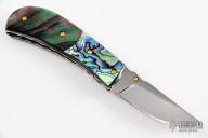 Linerlock Skinner