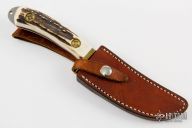 Magnum Hunter - Stag