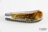 Saddlehorn Trapper - Mammoth Ivory