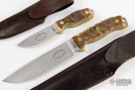 RAT-7 and RAT-3 - Rams Horn