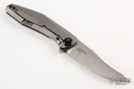  0470 Sinkevich Flipper