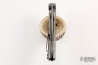  0470 Sinkevich Flipper