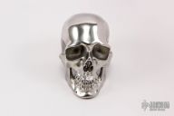 Hardened Stainless Steel Skull