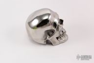Hardened Stainless Steel Skull