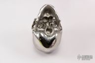 Hardened Stainless Steel Skull