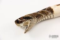 Carved Damascus Hunter