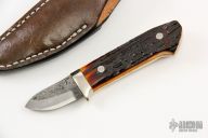 Sheath Knife - Stag