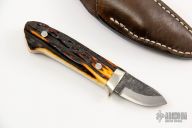 Sheath Knife - Stag