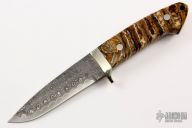 Special Sheath Knife - San Mai Damascus and Mammoth Tooth