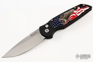  TR-3.44 Shaw Eagle Inlay