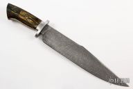 Damascus Bowie