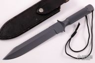 Jereboam I #372 - South African