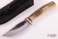 Walrus Little Sharptail