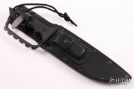 Combat Fighter D-Guard