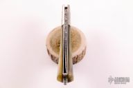 Engraved Lockback w/ Sheep Horn