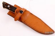 Chute Knife - Amber Stag