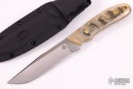 KS-3 Professional Guides Knife - Himalayan Sheep Horn