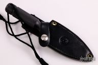 Discontinued Aviator