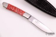 Model 110 - Brain Coral