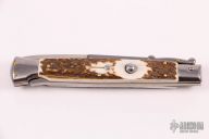  11" Swing Guard Auto - Stag