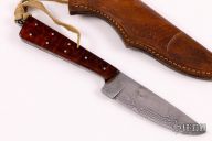 Damascus and Snakewood Hunter