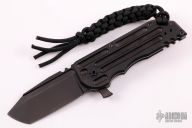  Black Stallion WarHorse - DLC Black