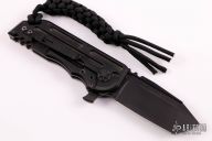  Black Stallion WarHorse - DLC Black