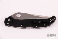 C180GP Tatanka G-10 Pin