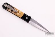 Godfather - Tiger coral 