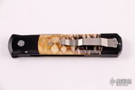 Godfather - Tiger coral 