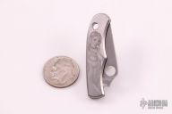 C133P Bug w/ Nude Engraving