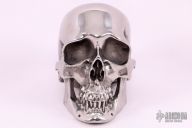 Hardened Stainless Steel Skull