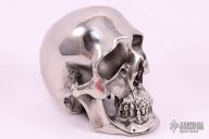 Hardened Stainless Steel Skull