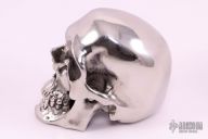 Hardened Stainless Steel Skull