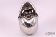 Hardened Stainless Steel Skull