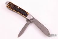 Jigged Molasses Bone Dogleg Trapper (TB622003 DAM)