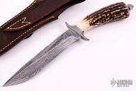 Damascus and Stag Fighter