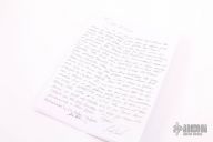 Moshe Dayan Prototype