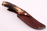 Damasteel Stag Hunter