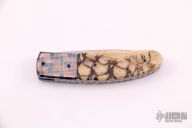 Mosaic Damascus and Coral Linerlock