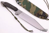 Woodland Bowie